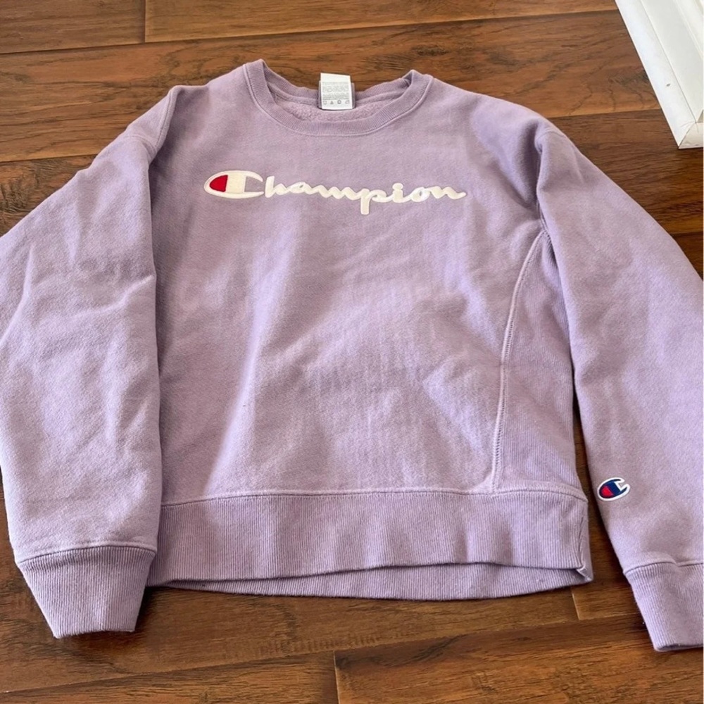 Champion Sweater